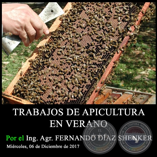 TRABAJOS DE APICULTURA EN VERANO - Ing. Agr. FERNANDO DÍAZ SHENKER - Miércoles, 06 de Diciembre de 2017